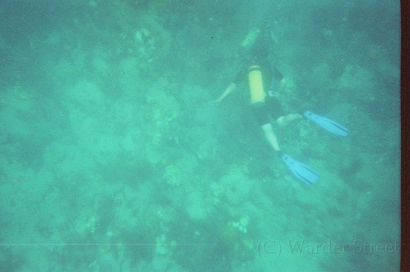Taylor Scuba Diving 02.jpg